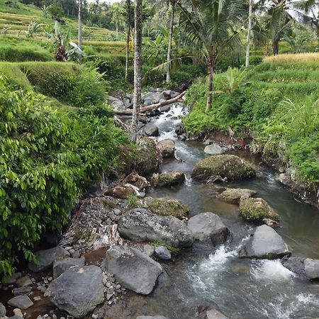 Graha Ayoe Villa Sidemen  Ngoại thất bức ảnh