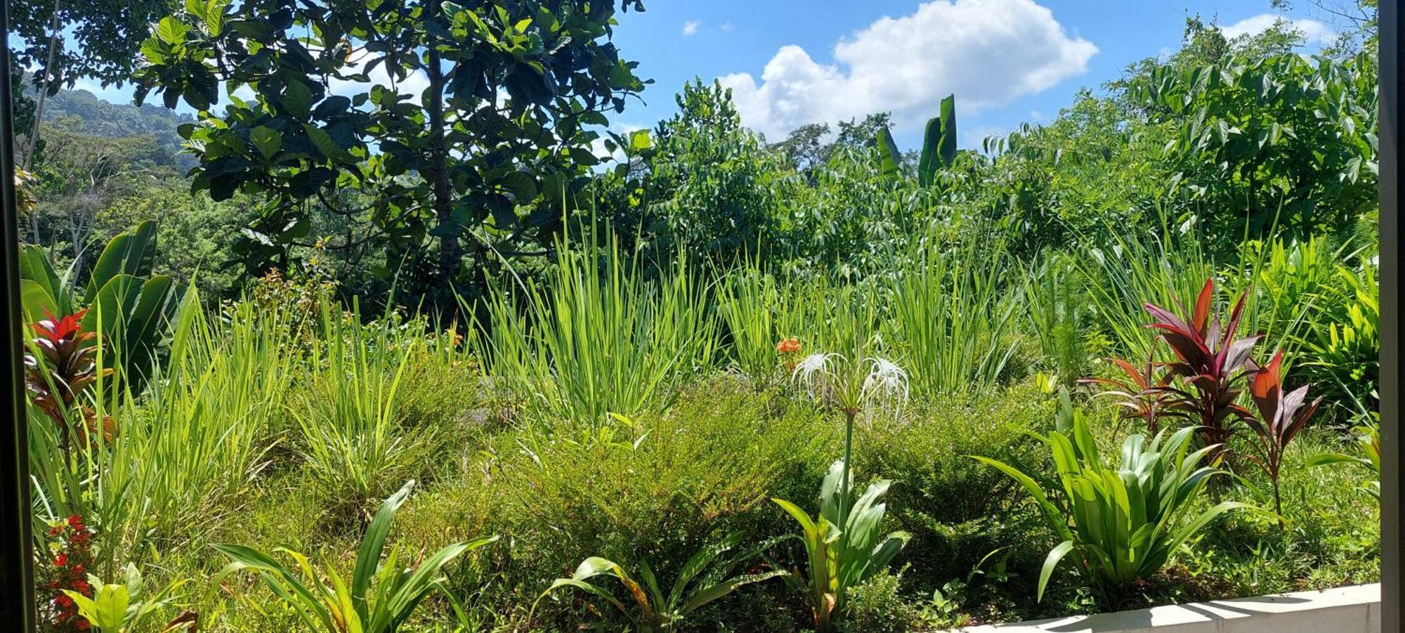Graha Ayoe Villa Sidemen  Ngoại thất bức ảnh