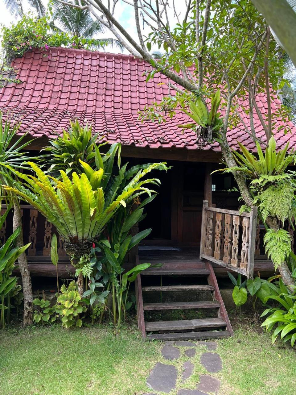 Graha Ayoe Villa Sidemen  Ngoại thất bức ảnh