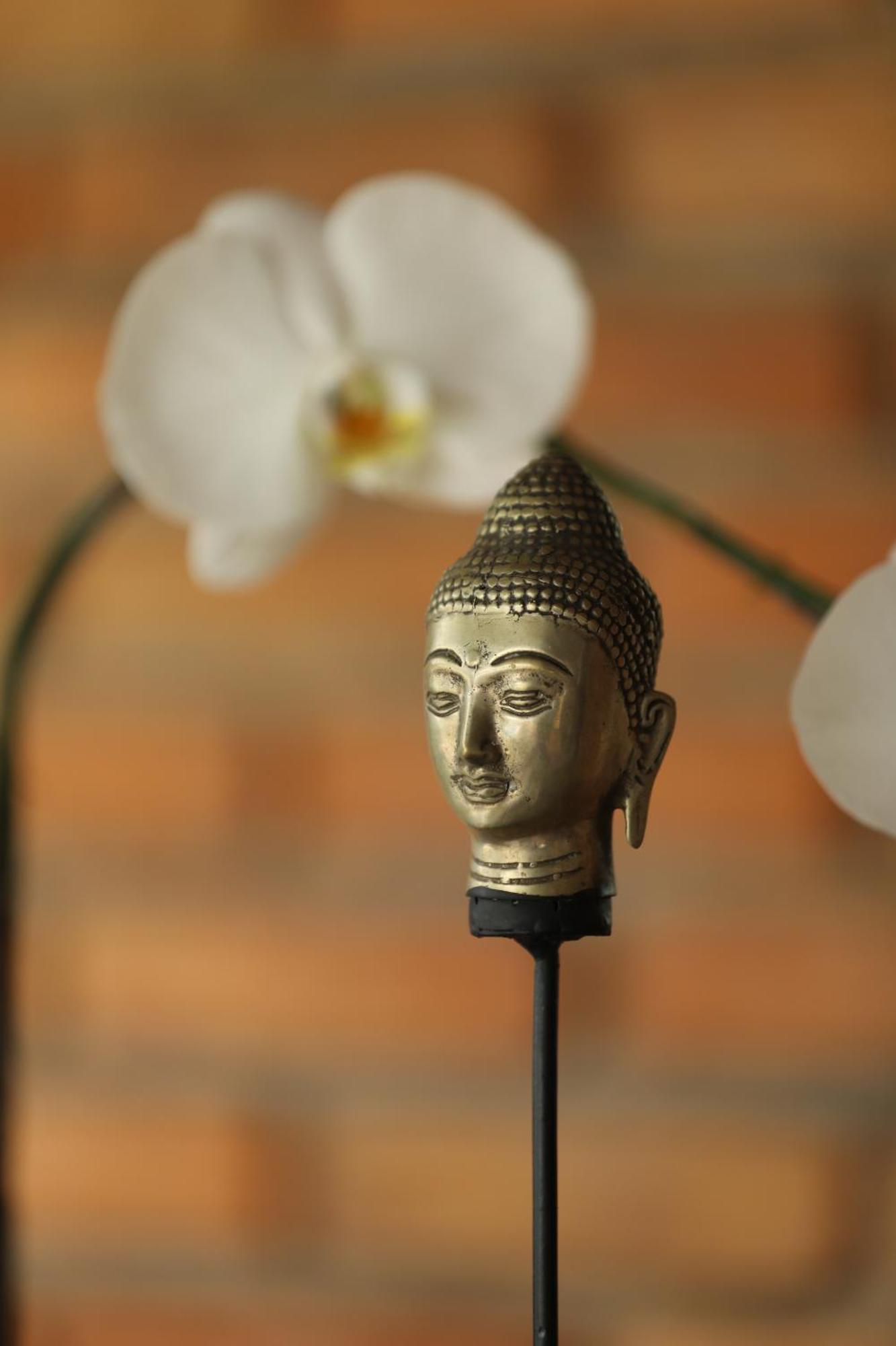 Graha Ayoe Villa Sidemen  Ngoại thất bức ảnh